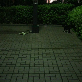 楽しいね  Happy!の画像