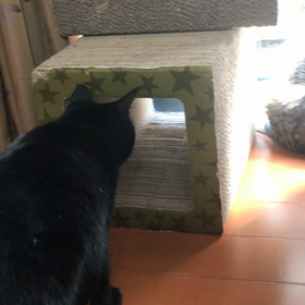 春の日差しの画像