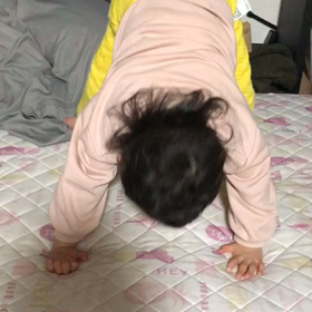 憂鬱な春の画像