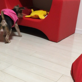 J さん それはね･･･の画像