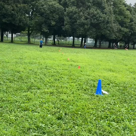 1000m(１組目)※記録会以外④の画像