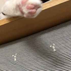 ワクチン接種の予約ができない。デールのんびりしようか！の画像