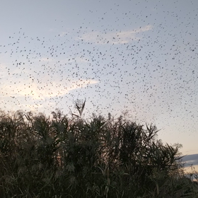牛久アタックの画像