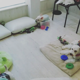 おもちゃ箱。。の画像