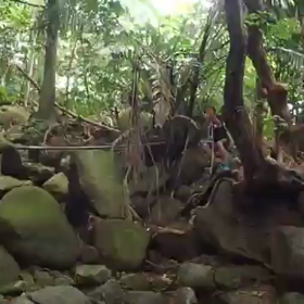 ターザン？  動画②の画像