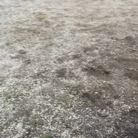 雨が降る前に (ᵔᴥᵔ)の画像