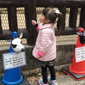 動画♡アルパカの餌やりの画像