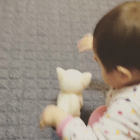 犬に乗る娘の画像