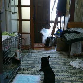 リンダリンダの朝食の画像