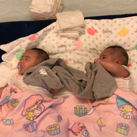 タオルがママ代わり？の画像