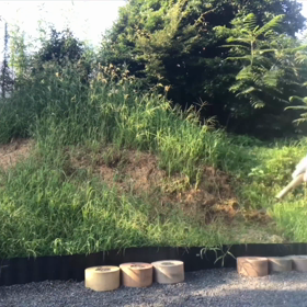 20190724 崖 草むしりの画像