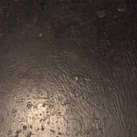バクオンの画像