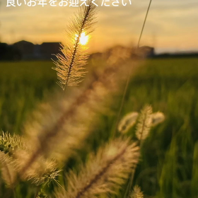 年末のご挨拶の画像