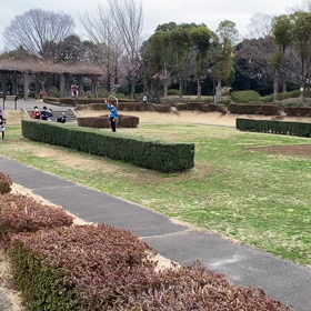 往復ダッシュ(Bグループ)⑧の画像