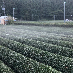 寒冷前線？の画像