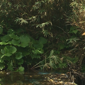 山女魚と格闘中✊の画像