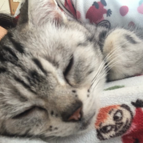 正しい休日の過ごし方？！の画像