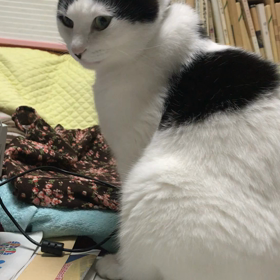 ギアチェンジの画像