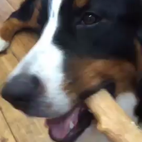 当店のおもちゃ紹介✩の画像