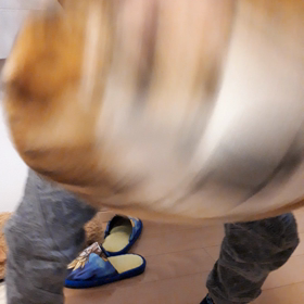 息子くんがΣ(⊙ω⊙)の画像