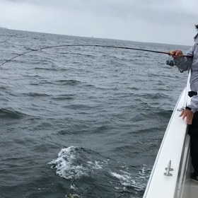 フグ祭りの画像