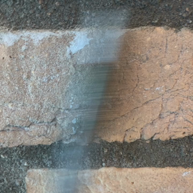 【私の自己紹介】ブログ始めました！の画像