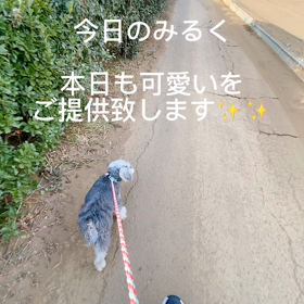 臨死体験✨✨怖い？の画像