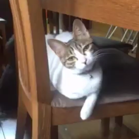 なんだかなあの画像