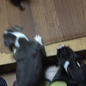 元気に育ってます♪の画像