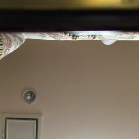 はじめてのモーツァルトはプレインベンションで♬の画像