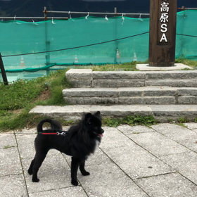 2019年7月14日  富山の画像