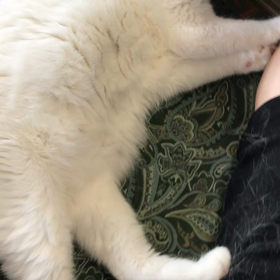 別のアプローチの画像