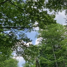 浄化して感じたこと♡の画像