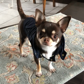 ありがたい♡の画像