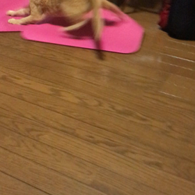 音の原因はこれだ！！の画像