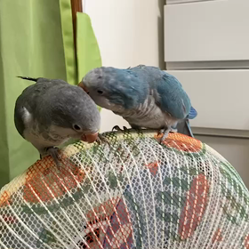 すこーし、距離が縮まったかな？の画像