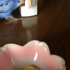 応用編！？の画像