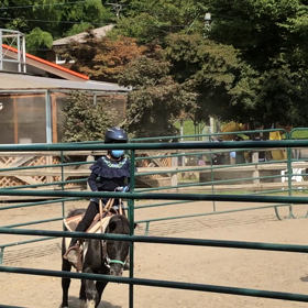 ポニーはの画像