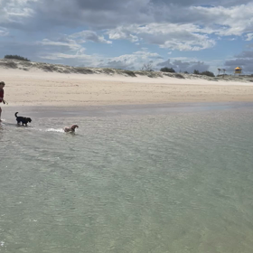 ビスケットくんのお楽しみの画像