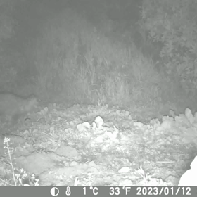 すぎぴたんの事件簿シーズン3　155話（帰り道はぁ~帰り道はぁ~）の画像