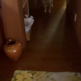 大きいお兄ちゃんご帰宅の画像