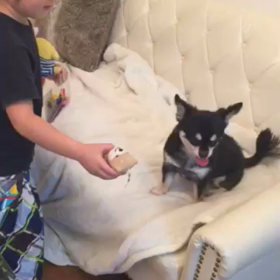 ☆りおんとラヴィ☆の画像