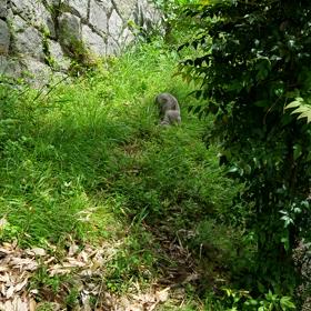 ありがとうございますの画像