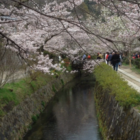 春休み中の画像