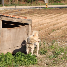 韓国ユーチューバー"산천세끼three meals in nature"の画像