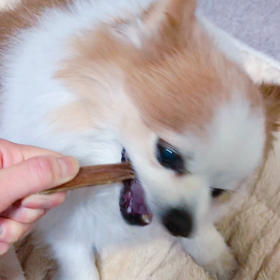 りんごに硬めのおやつの画像