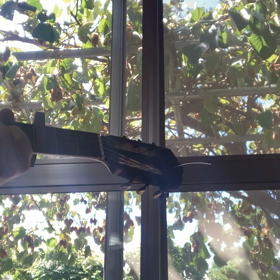 8月の体験レッスン@信夫山文庫はお休みです。　福島市ギター教室の画像