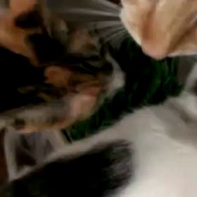 距離近っの画像