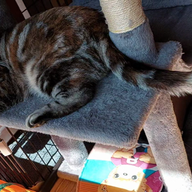 花と竜　１９の画像