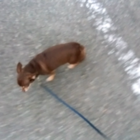 りんちゃん、ソラくん　２の画像